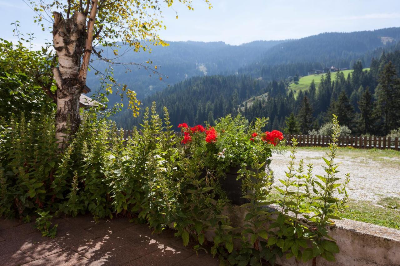 Alpenspitz Appartements - Garni - B&B Racines Exterior photo